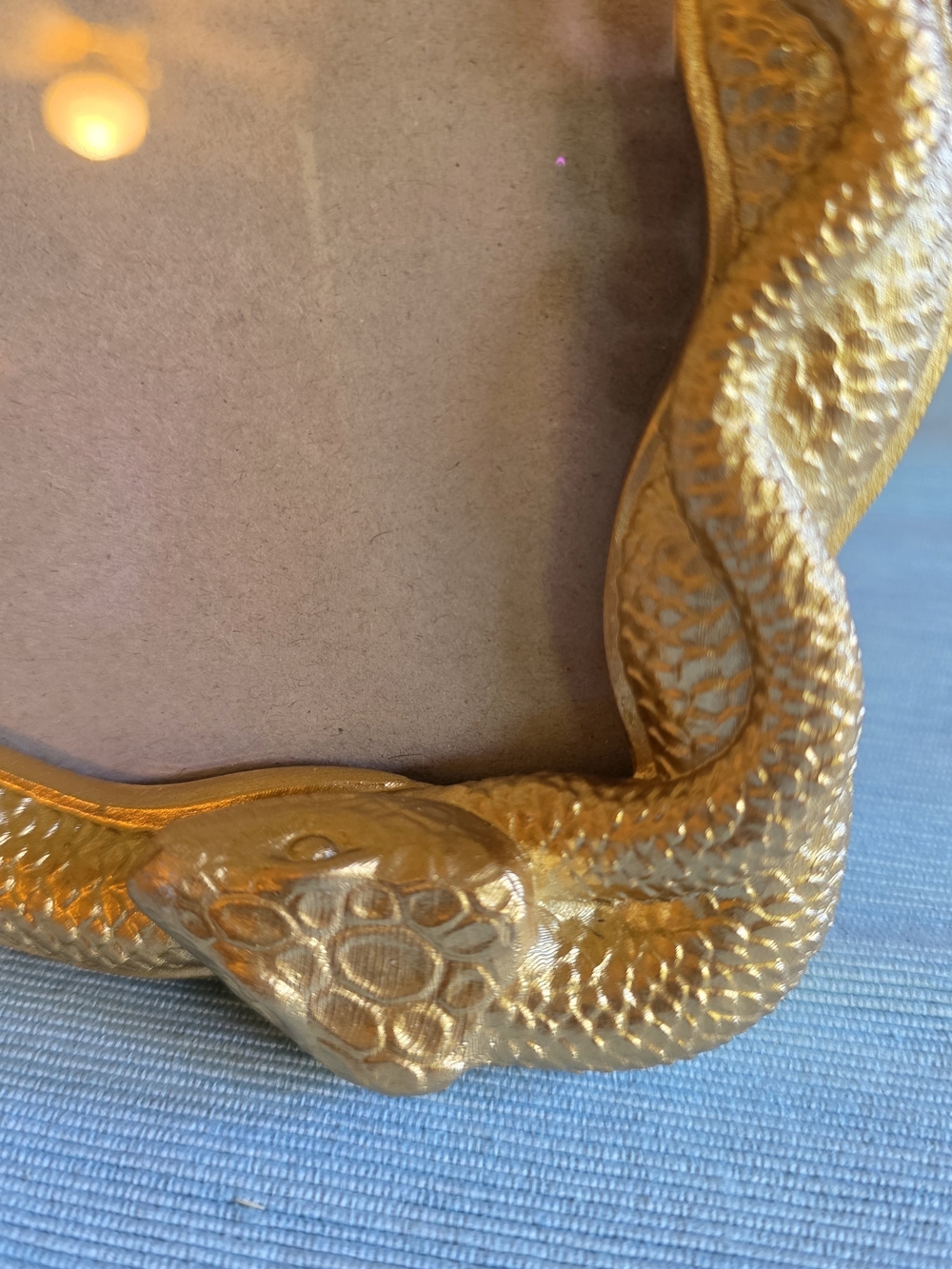 GOLD SNAKE Frame 5x7 Photo - Picture 2 of 16